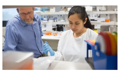 University of Wollongong India Gandhinagar Images photo 6